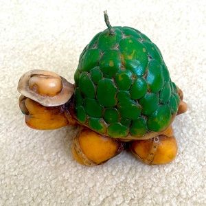 Turtle Candle 🐢